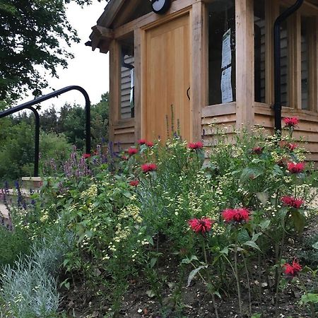 South Downs Eco Lodge & Camping East Meon Ngoại thất bức ảnh