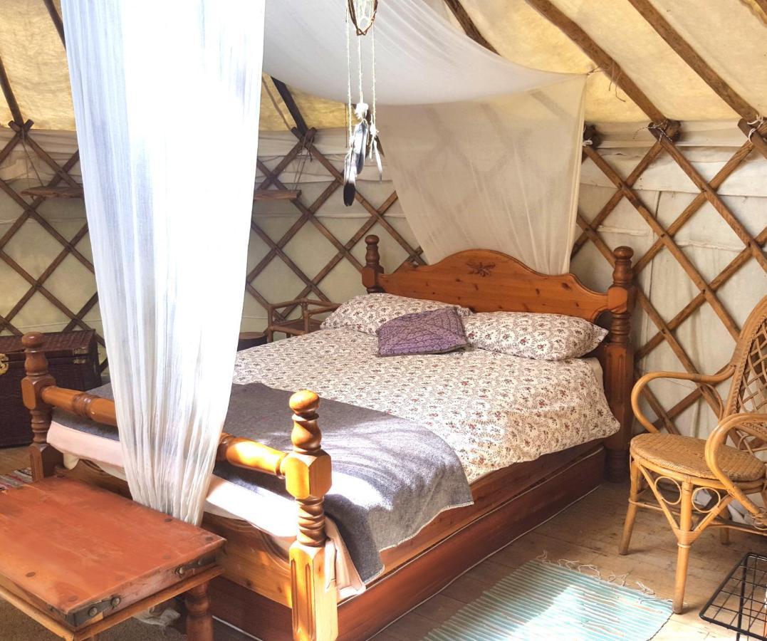 South Downs Eco Lodge & Camping East Meon Ngoại thất bức ảnh