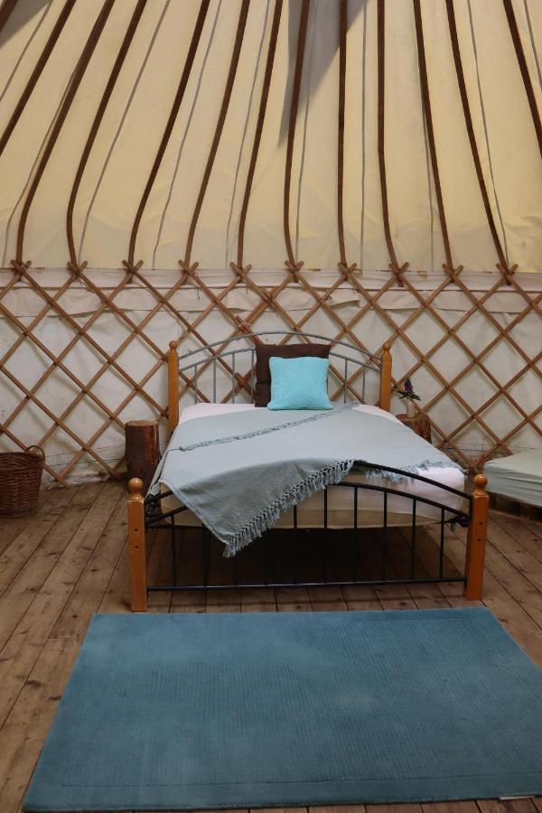 South Downs Eco Lodge & Camping East Meon Ngoại thất bức ảnh