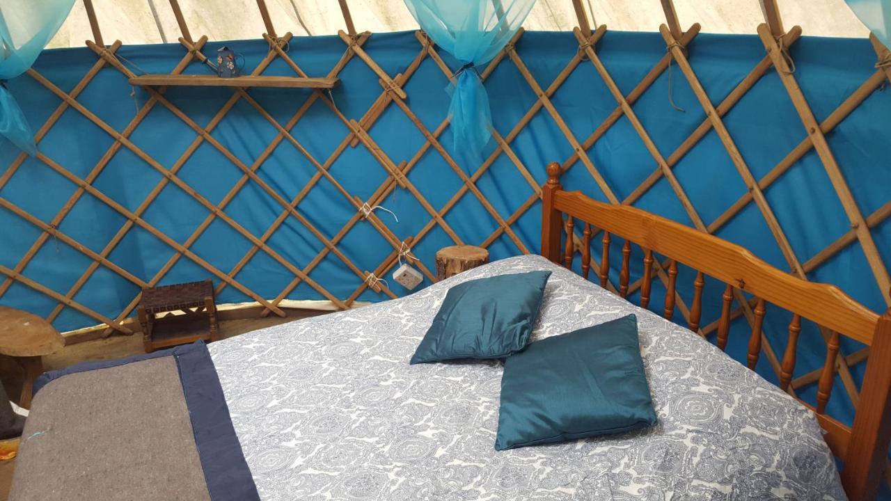 South Downs Eco Lodge & Camping East Meon Ngoại thất bức ảnh