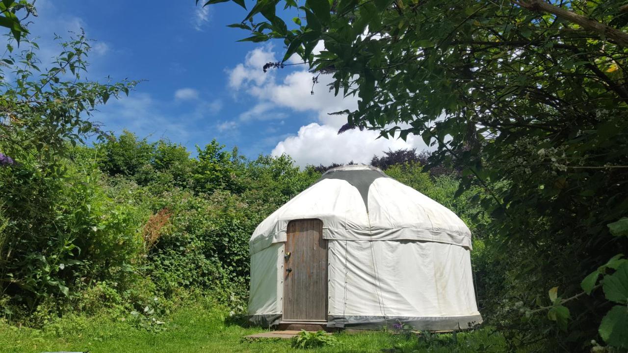 South Downs Eco Lodge & Camping East Meon Ngoại thất bức ảnh
