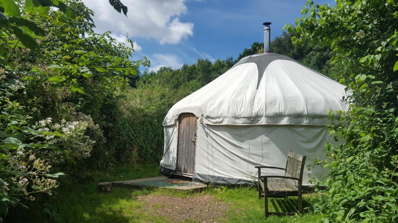 South Downs Eco Lodge & Camping East Meon Ngoại thất bức ảnh
