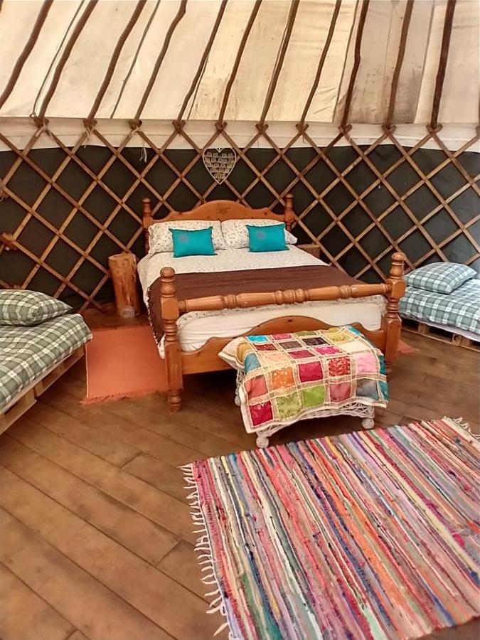 South Downs Eco Lodge & Camping East Meon Ngoại thất bức ảnh
