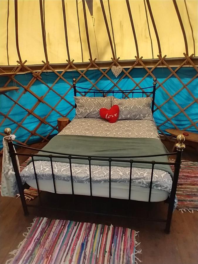 South Downs Eco Lodge & Camping East Meon Ngoại thất bức ảnh